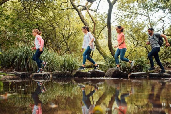 Famille marchant dans les bois